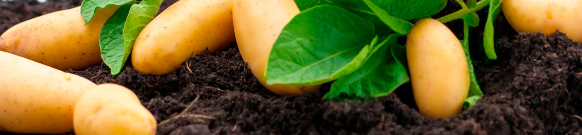 QUALITÄTSMANAGEMENT